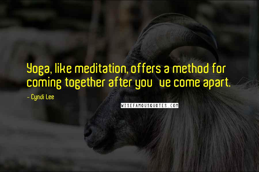 Cyndi Lee Quotes: Yoga, like meditation, offers a method for coming together after you've come apart.