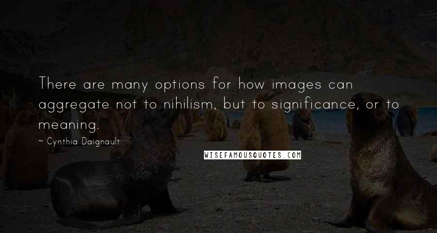 Cynthia Daignault Quotes: There are many options for how images can aggregate not to nihilism, but to significance, or to meaning.