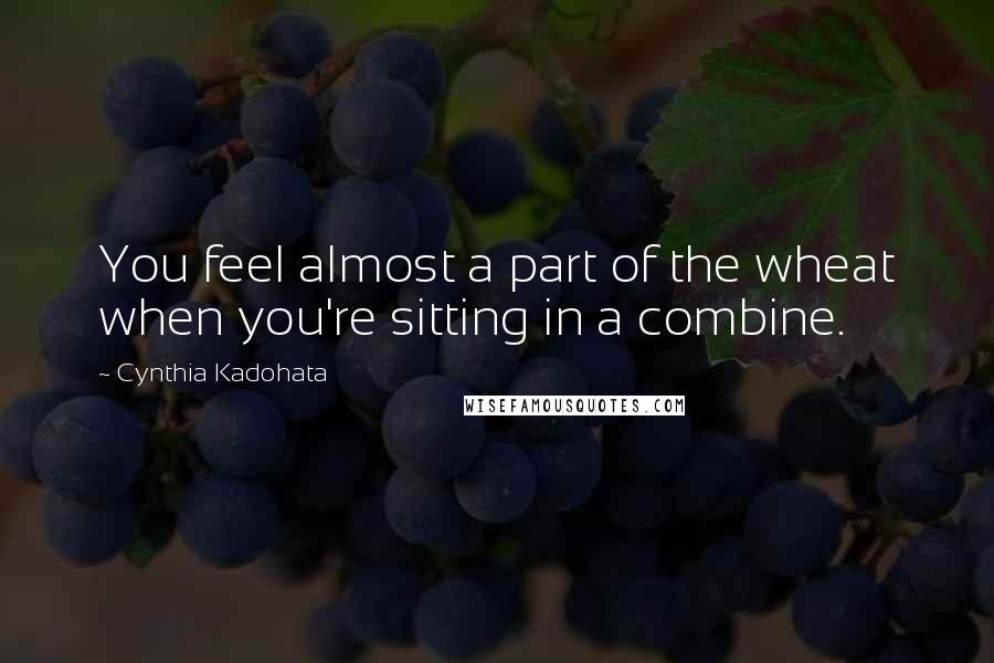 Cynthia Kadohata Quotes: You feel almost a part of the wheat when you're sitting in a combine.