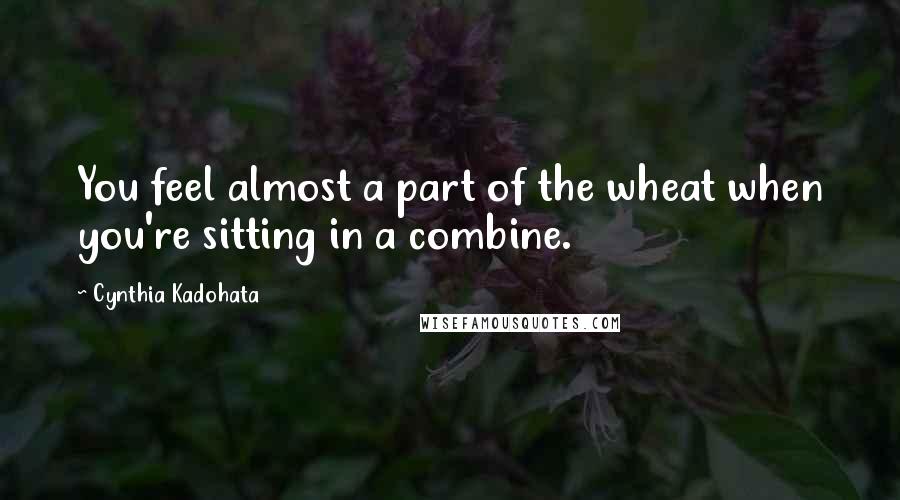 Cynthia Kadohata Quotes: You feel almost a part of the wheat when you're sitting in a combine.