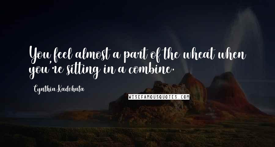 Cynthia Kadohata Quotes: You feel almost a part of the wheat when you're sitting in a combine.