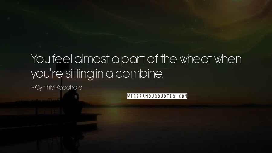 Cynthia Kadohata Quotes: You feel almost a part of the wheat when you're sitting in a combine.