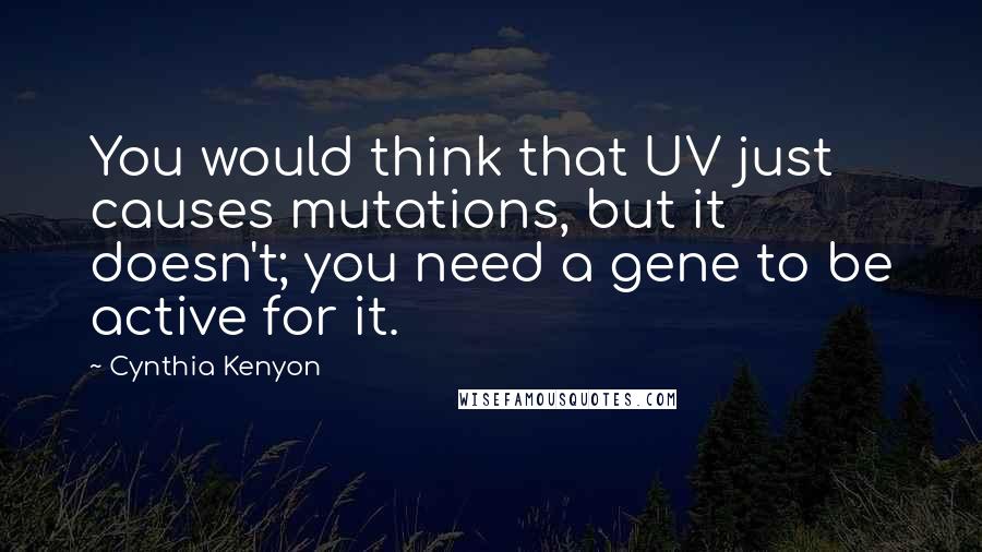 Cynthia Kenyon Quotes: You would think that UV just causes mutations, but it doesn't; you need a gene to be active for it.