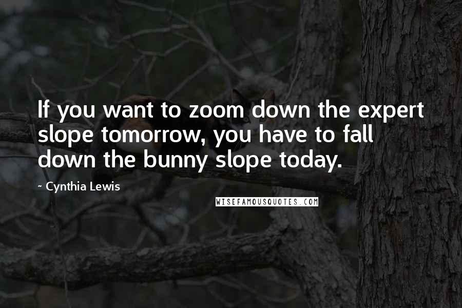 Cynthia Lewis Quotes: If you want to zoom down the expert slope tomorrow, you have to fall down the bunny slope today.