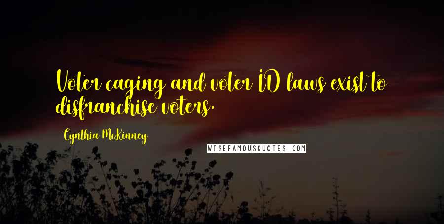 Cynthia McKinney Quotes: Voter caging and voter ID laws exist to disfranchise voters.