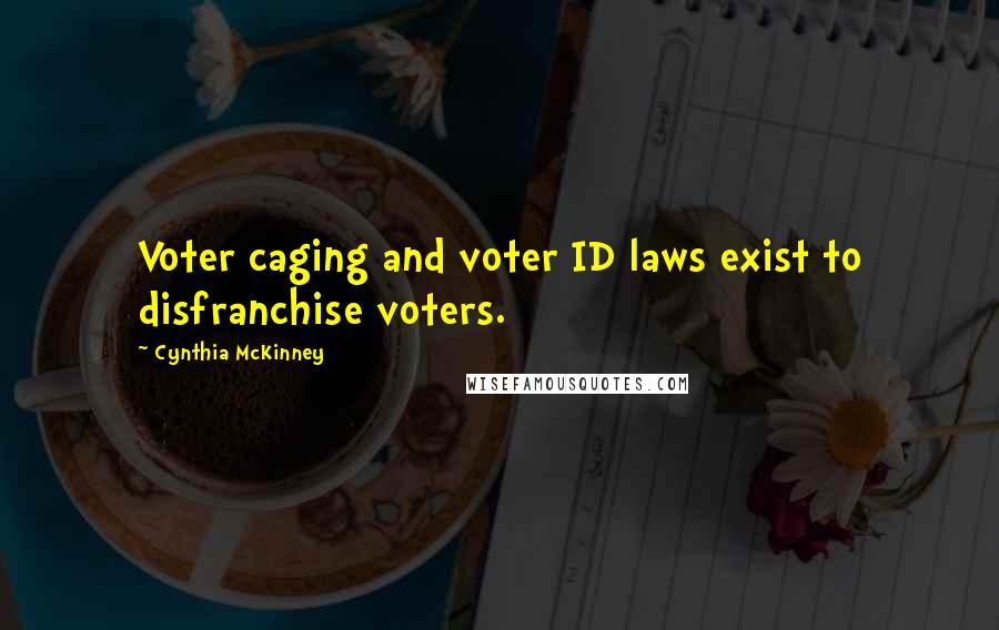 Cynthia McKinney Quotes: Voter caging and voter ID laws exist to disfranchise voters.