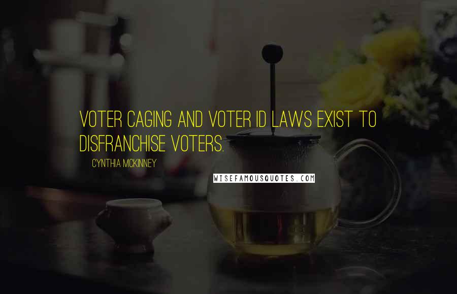 Cynthia McKinney Quotes: Voter caging and voter ID laws exist to disfranchise voters.