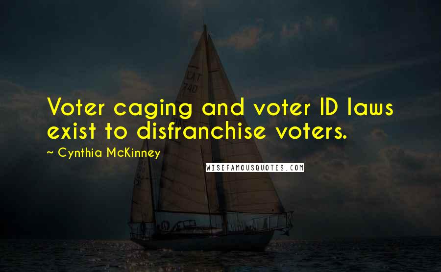 Cynthia McKinney Quotes: Voter caging and voter ID laws exist to disfranchise voters.