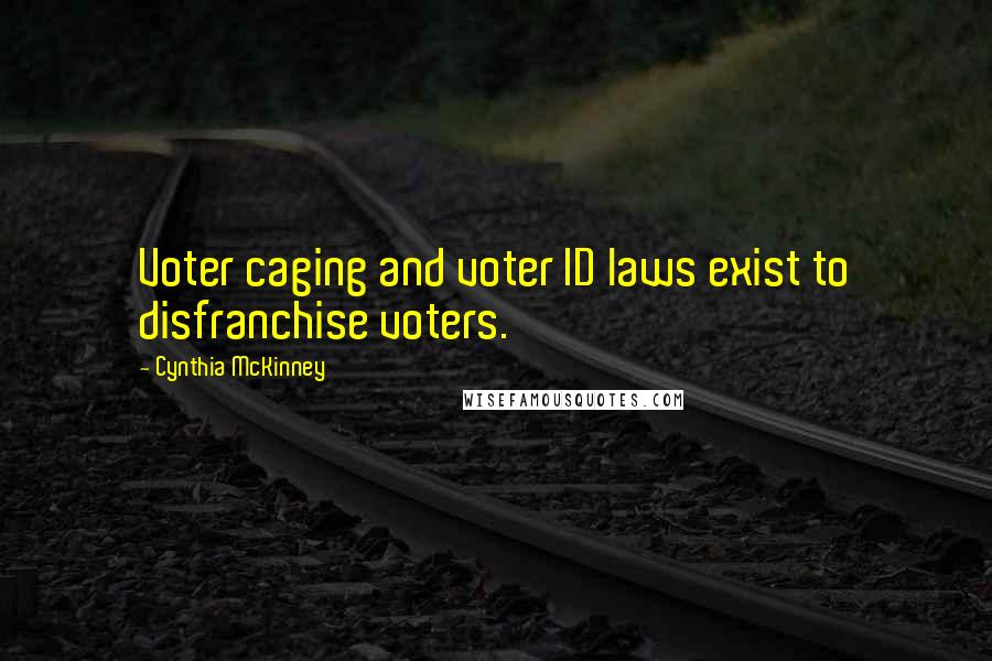 Cynthia McKinney Quotes: Voter caging and voter ID laws exist to disfranchise voters.