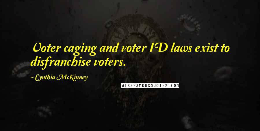 Cynthia McKinney Quotes: Voter caging and voter ID laws exist to disfranchise voters.