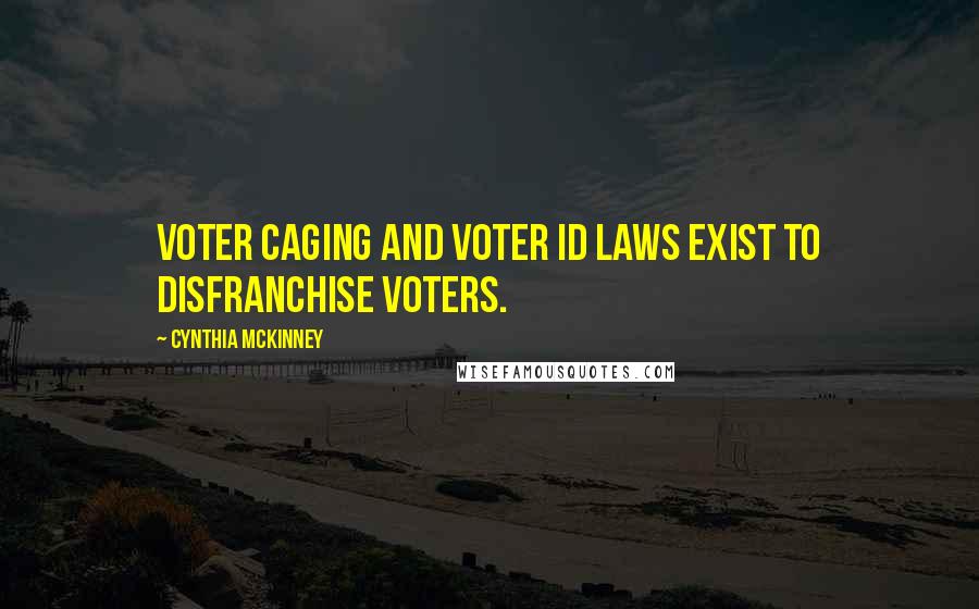 Cynthia McKinney Quotes: Voter caging and voter ID laws exist to disfranchise voters.