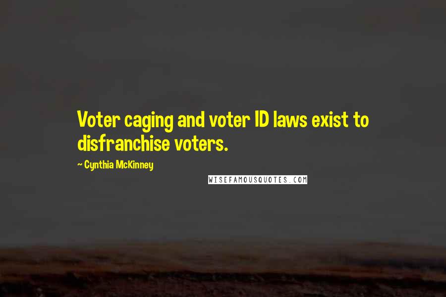 Cynthia McKinney Quotes: Voter caging and voter ID laws exist to disfranchise voters.