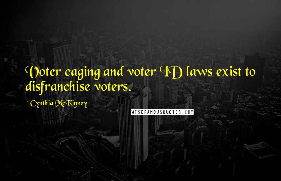 Cynthia McKinney Quotes: Voter caging and voter ID laws exist to disfranchise voters.