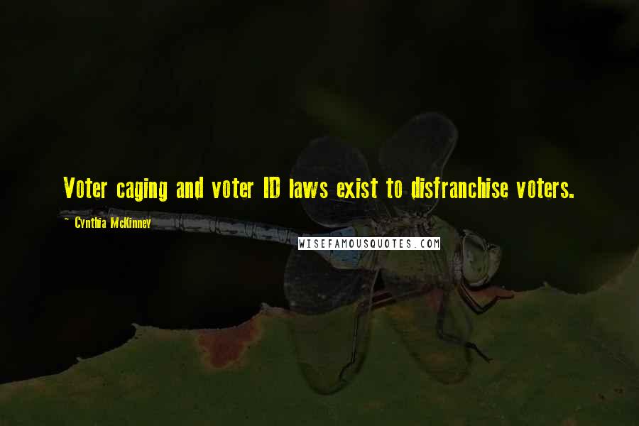 Cynthia McKinney Quotes: Voter caging and voter ID laws exist to disfranchise voters.