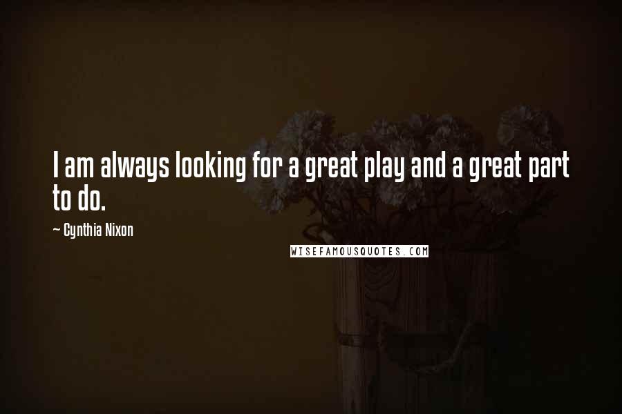 Cynthia Nixon Quotes: I am always looking for a great play and a great part to do.