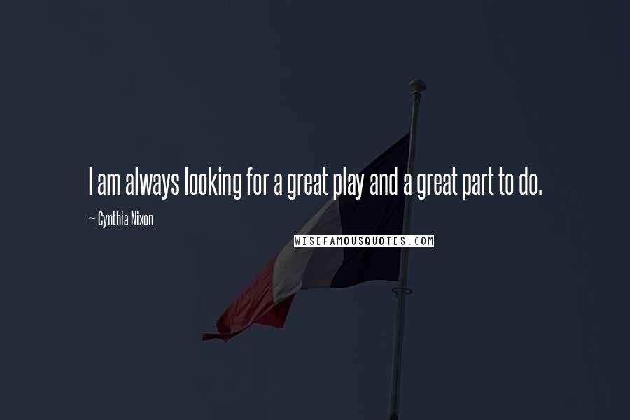 Cynthia Nixon Quotes: I am always looking for a great play and a great part to do.