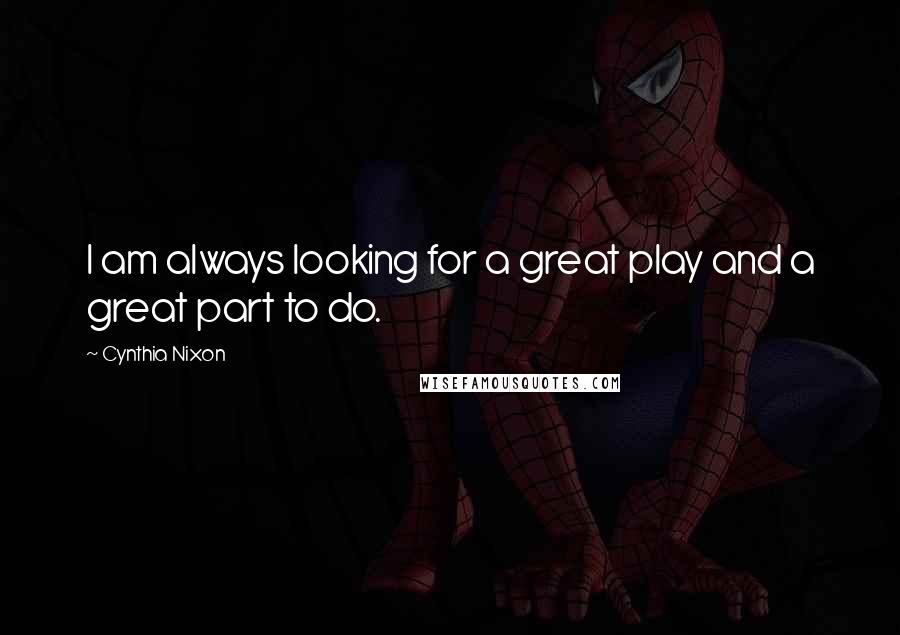 Cynthia Nixon Quotes: I am always looking for a great play and a great part to do.
