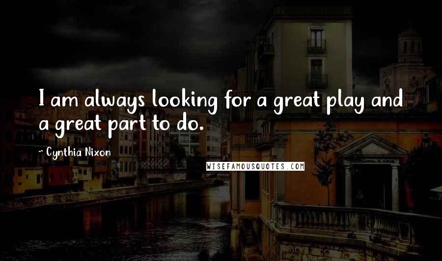 Cynthia Nixon Quotes: I am always looking for a great play and a great part to do.