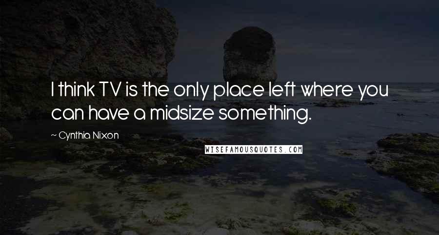 Cynthia Nixon Quotes: I think TV is the only place left where you can have a midsize something.