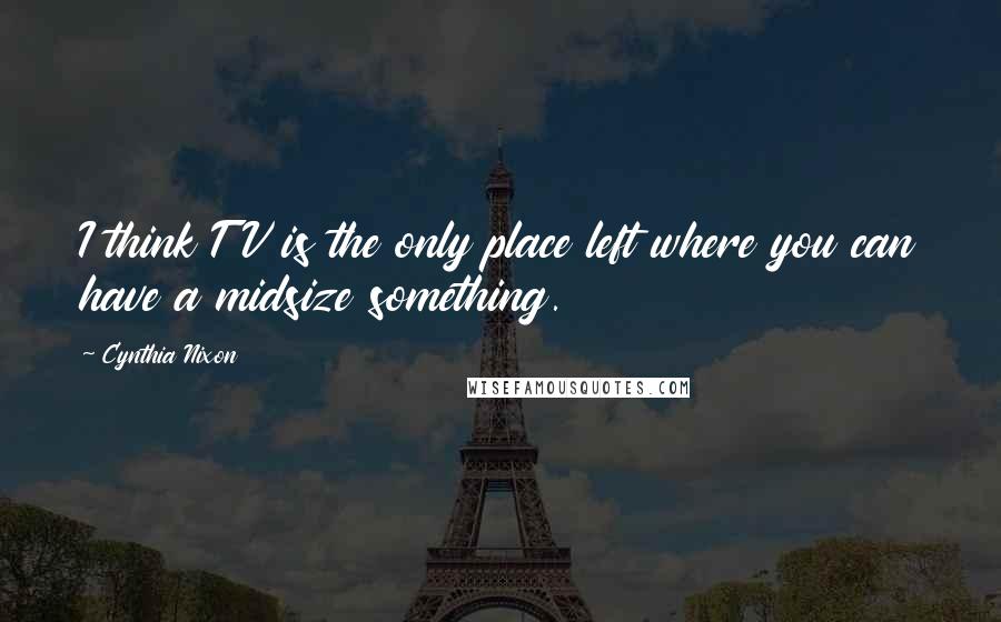 Cynthia Nixon Quotes: I think TV is the only place left where you can have a midsize something.