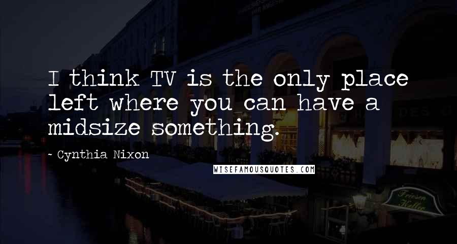 Cynthia Nixon Quotes: I think TV is the only place left where you can have a midsize something.