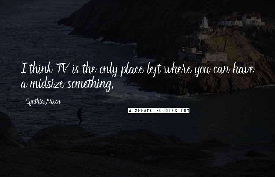 Cynthia Nixon Quotes: I think TV is the only place left where you can have a midsize something.
