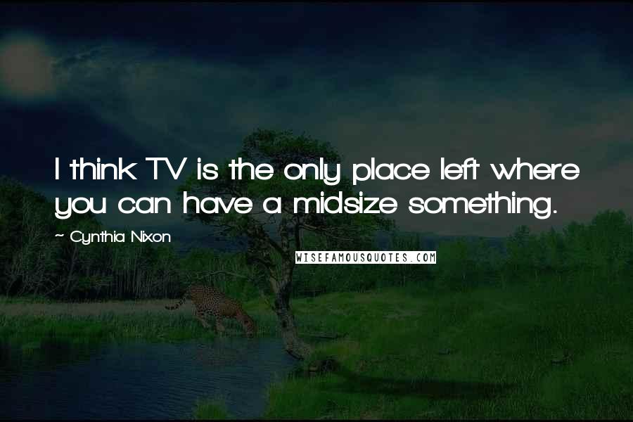 Cynthia Nixon Quotes: I think TV is the only place left where you can have a midsize something.