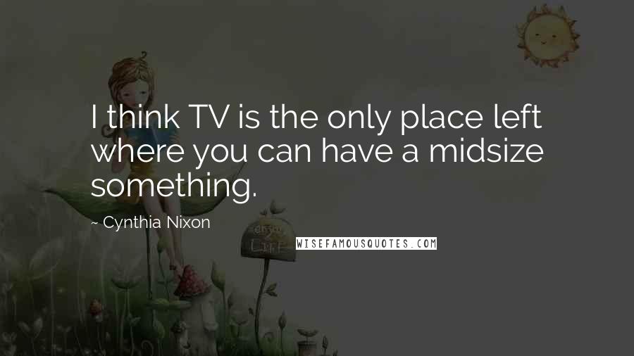 Cynthia Nixon Quotes: I think TV is the only place left where you can have a midsize something.