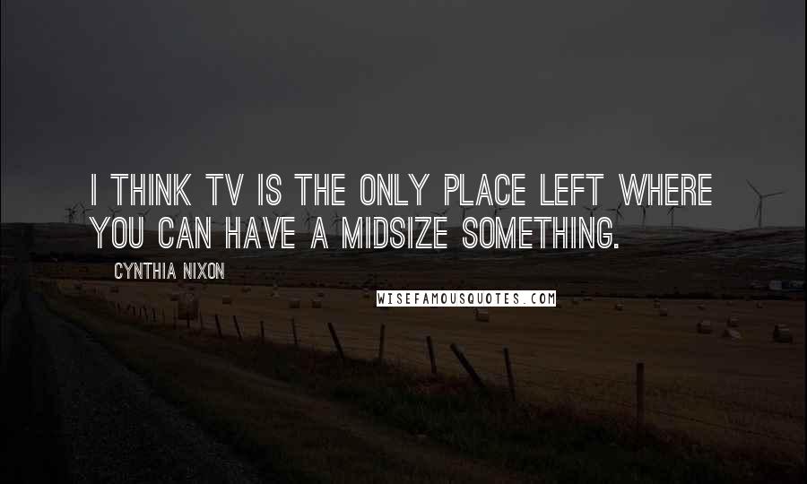 Cynthia Nixon Quotes: I think TV is the only place left where you can have a midsize something.