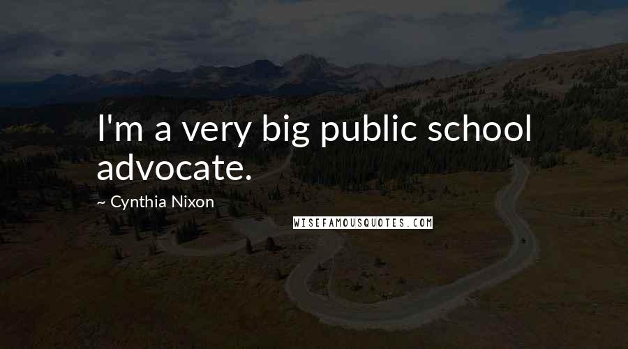 Cynthia Nixon Quotes: I'm a very big public school advocate.