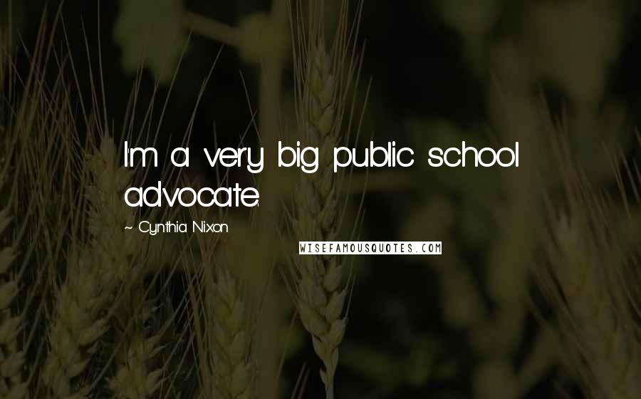 Cynthia Nixon Quotes: I'm a very big public school advocate.