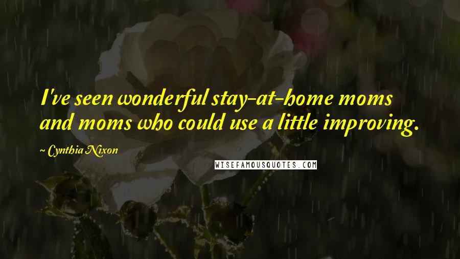 Cynthia Nixon Quotes: I've seen wonderful stay-at-home moms and moms who could use a little improving.