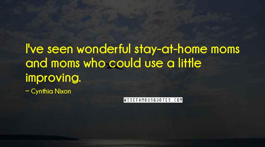 Cynthia Nixon Quotes: I've seen wonderful stay-at-home moms and moms who could use a little improving.