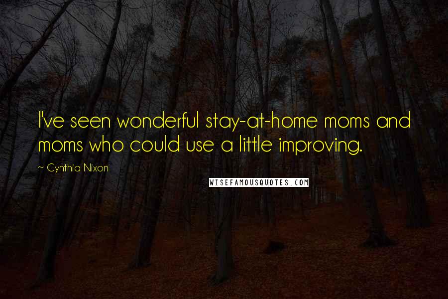 Cynthia Nixon Quotes: I've seen wonderful stay-at-home moms and moms who could use a little improving.