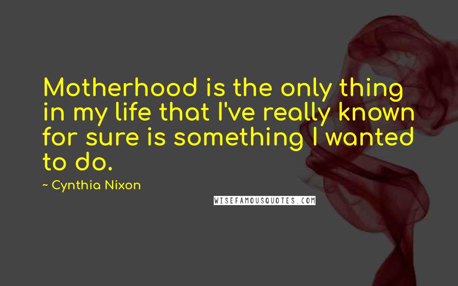 Cynthia Nixon Quotes: Motherhood is the only thing in my life that I've really known for sure is something I wanted to do.