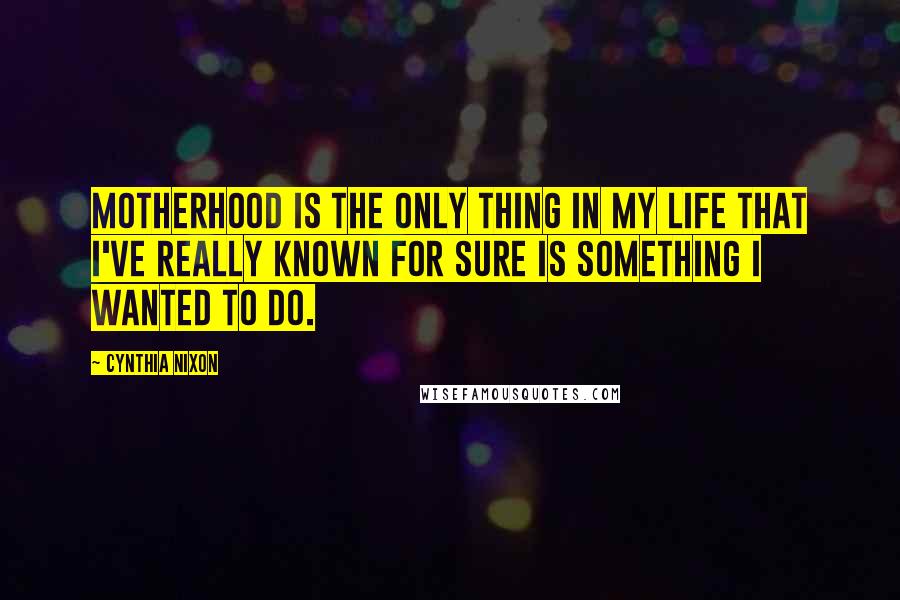 Cynthia Nixon Quotes: Motherhood is the only thing in my life that I've really known for sure is something I wanted to do.