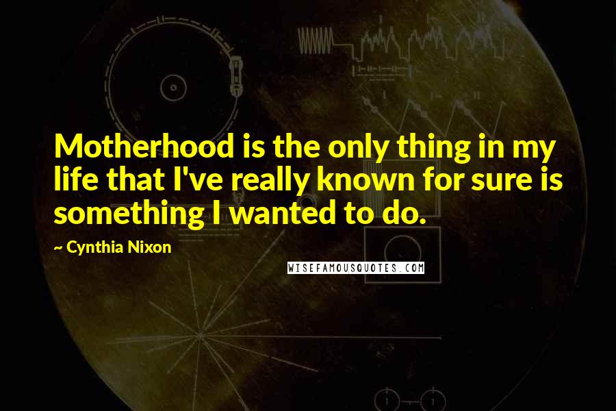 Cynthia Nixon Quotes: Motherhood is the only thing in my life that I've really known for sure is something I wanted to do.