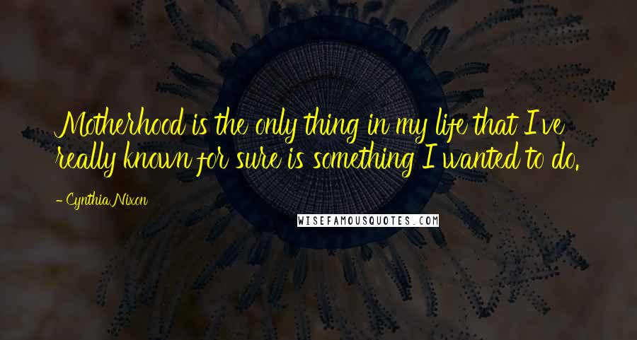 Cynthia Nixon Quotes: Motherhood is the only thing in my life that I've really known for sure is something I wanted to do.
