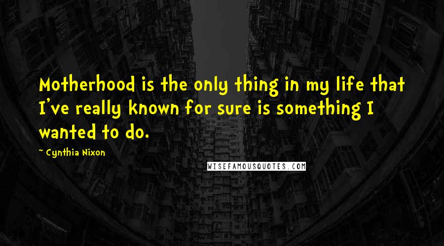 Cynthia Nixon Quotes: Motherhood is the only thing in my life that I've really known for sure is something I wanted to do.
