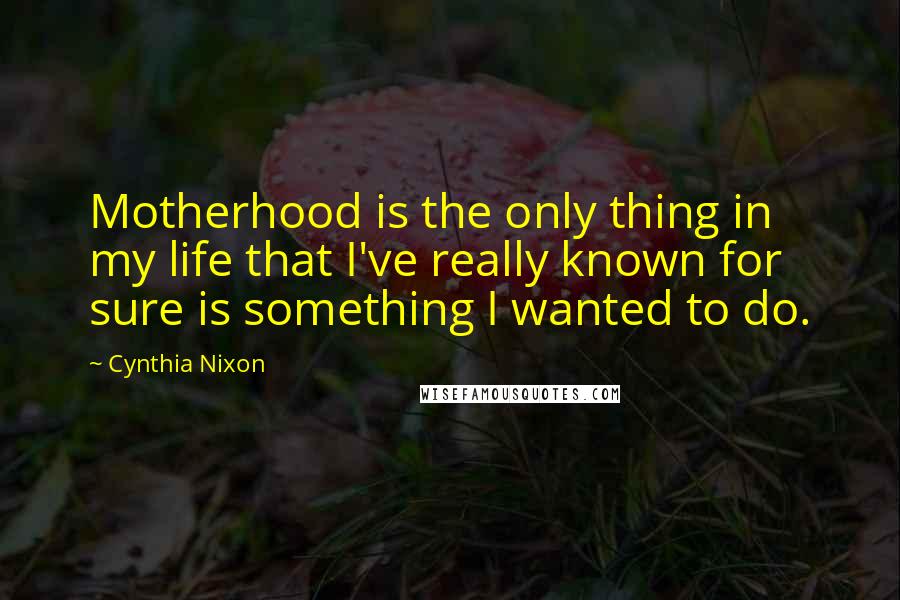 Cynthia Nixon Quotes: Motherhood is the only thing in my life that I've really known for sure is something I wanted to do.