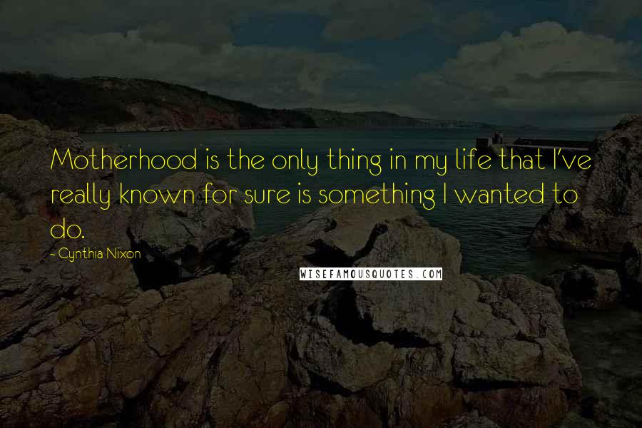 Cynthia Nixon Quotes: Motherhood is the only thing in my life that I've really known for sure is something I wanted to do.