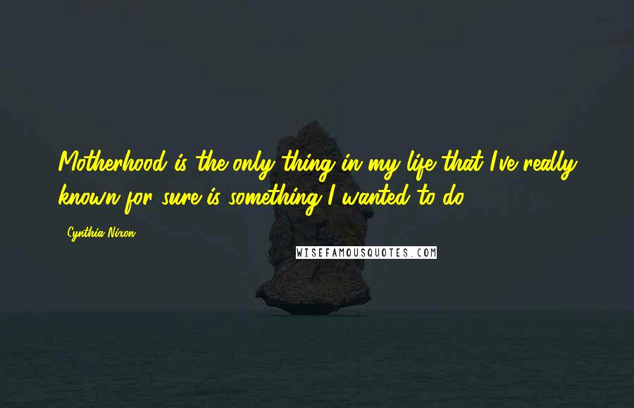 Cynthia Nixon Quotes: Motherhood is the only thing in my life that I've really known for sure is something I wanted to do.