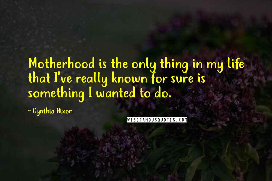 Cynthia Nixon Quotes: Motherhood is the only thing in my life that I've really known for sure is something I wanted to do.