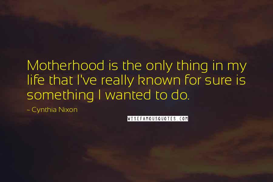 Cynthia Nixon Quotes: Motherhood is the only thing in my life that I've really known for sure is something I wanted to do.