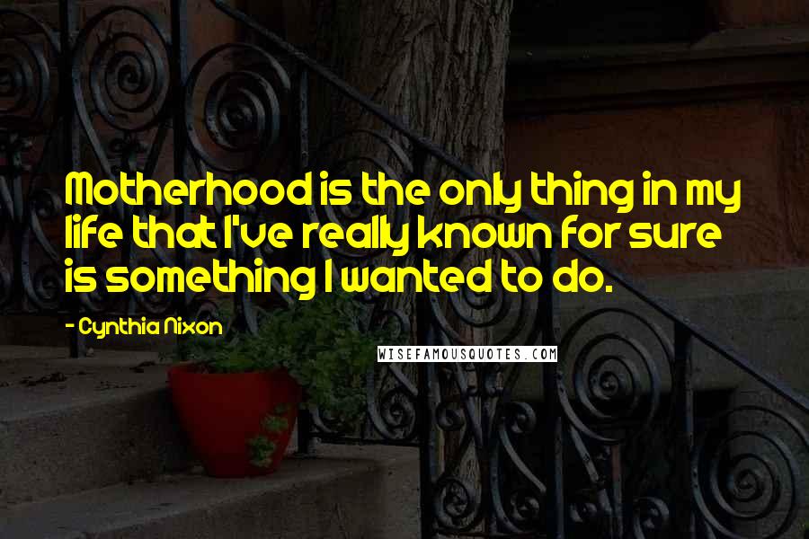 Cynthia Nixon Quotes: Motherhood is the only thing in my life that I've really known for sure is something I wanted to do.