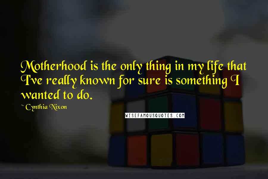 Cynthia Nixon Quotes: Motherhood is the only thing in my life that I've really known for sure is something I wanted to do.