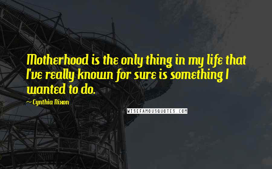 Cynthia Nixon Quotes: Motherhood is the only thing in my life that I've really known for sure is something I wanted to do.