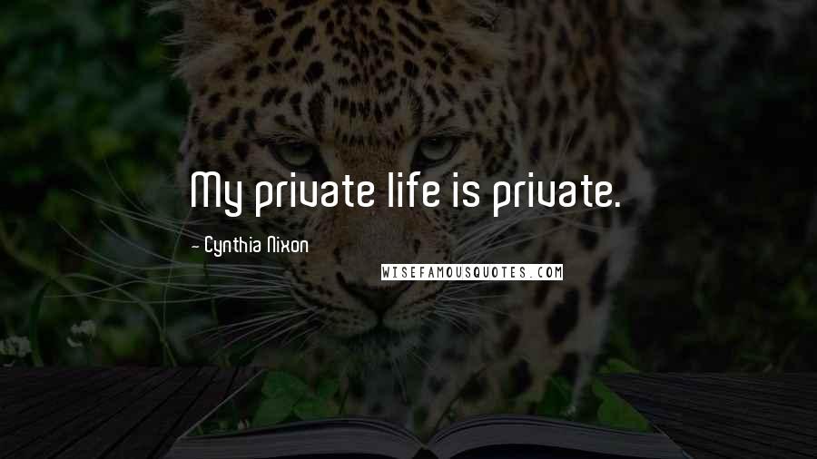 Cynthia Nixon Quotes: My private life is private.