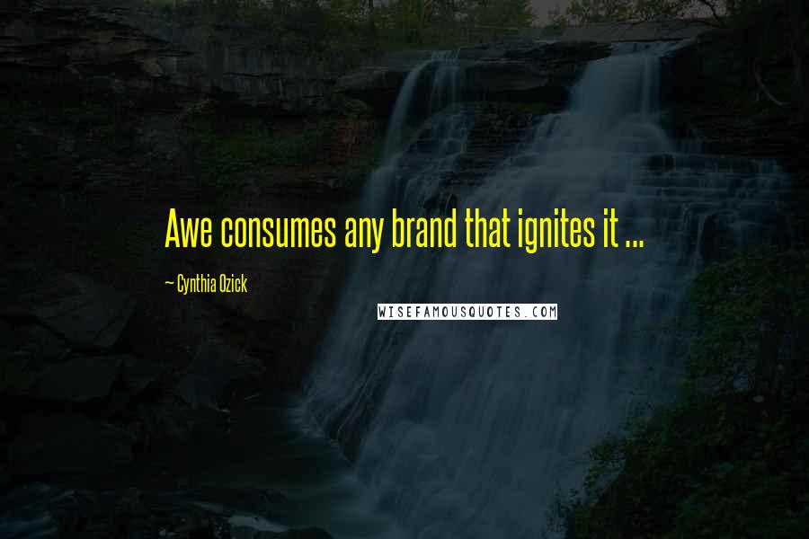 Cynthia Ozick Quotes: Awe consumes any brand that ignites it ...