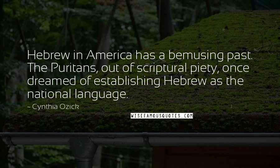 Cynthia Ozick Quotes: Hebrew in America has a bemusing past. The Puritans, out of scriptural piety, once dreamed of establishing Hebrew as the national language.
